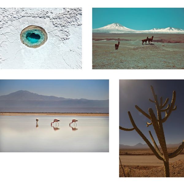 Some of the natural beauty of the Atacama desert in northern Chile