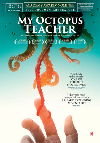 My Octopus Teacher nature film poster