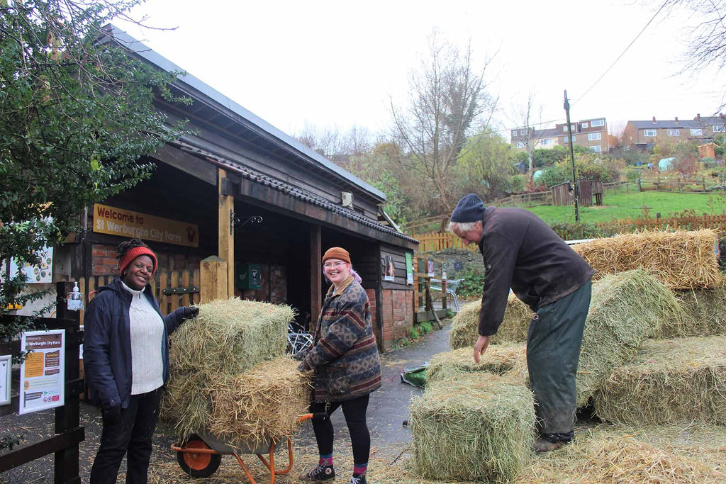 St Werburghs City Farm