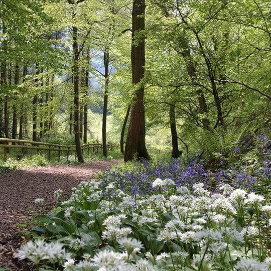 Cotswold Way