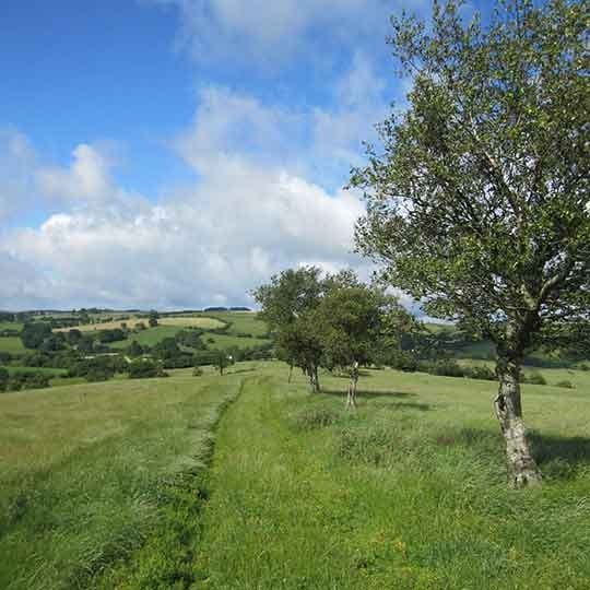 Glyndwr's Way National Trail - The Trails Shop