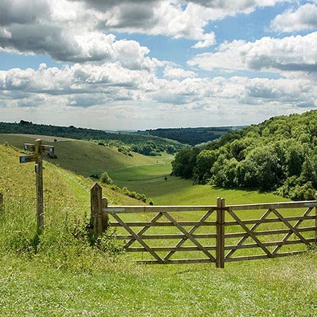 South Downs Way National Trail - The Trails Shop