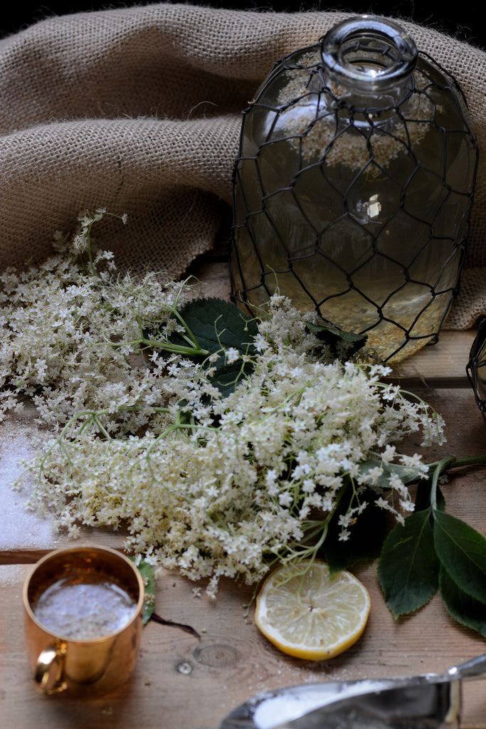 Elderflower Syrup recipes