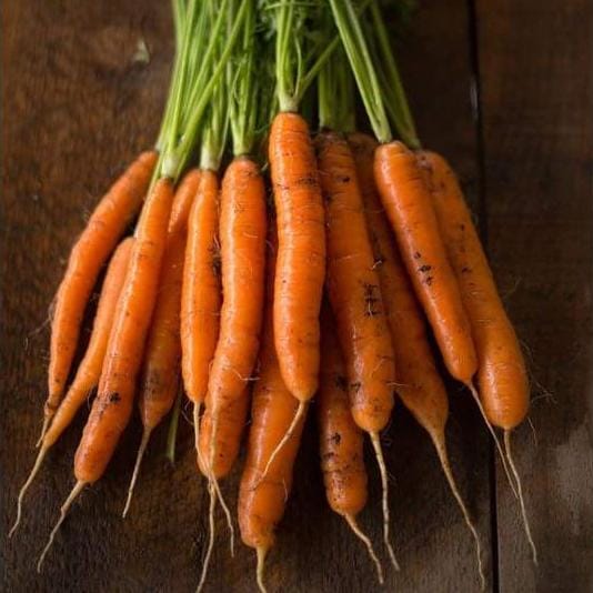 https://cdn.shopify.com/s/files/1/0972/6282/collections/carrot-seeds.jpg?v=1613520937