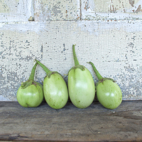 Little Green Eggplants