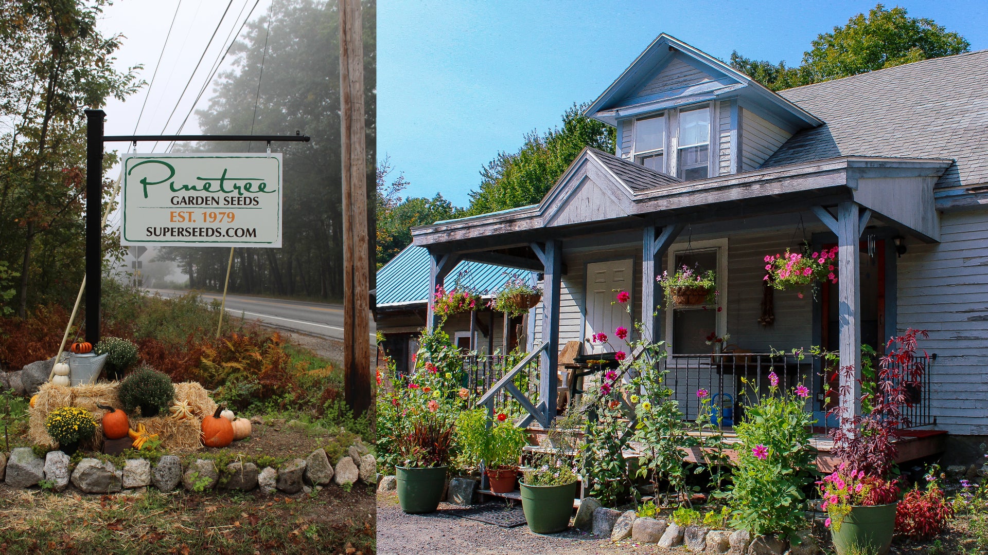 Pinetree Garden Seeds Sign with Pumpkins and Farmhouse with flowers out front