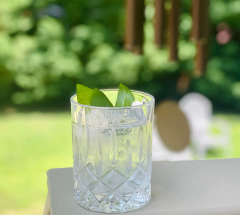 Cocktail with basil as a garnish