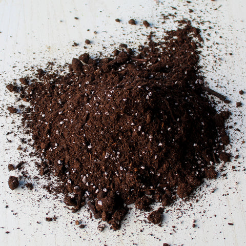 Coast of Maine Sprout Island Seedling Mix spread out on white background.