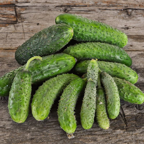 https://cdn.shopify.com/s/files/1/0972/6282/products/artist-cucumber-f1-hybrid-45-days-vegetables-pinetree-garden-seeds-146_large.jpg?v=1601047043