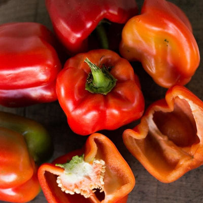 Chinese Giant Red Bell Pepper Seeds - The Plant Good Seed Company