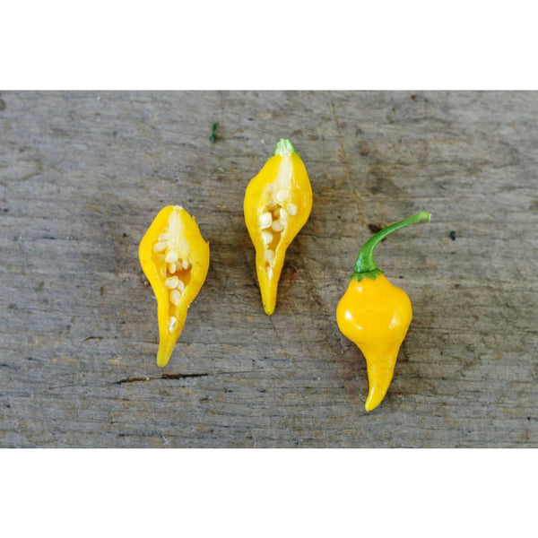 yellow pepper