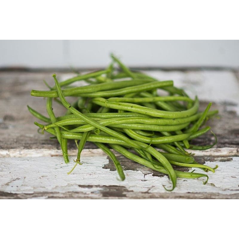 red swan bush bean