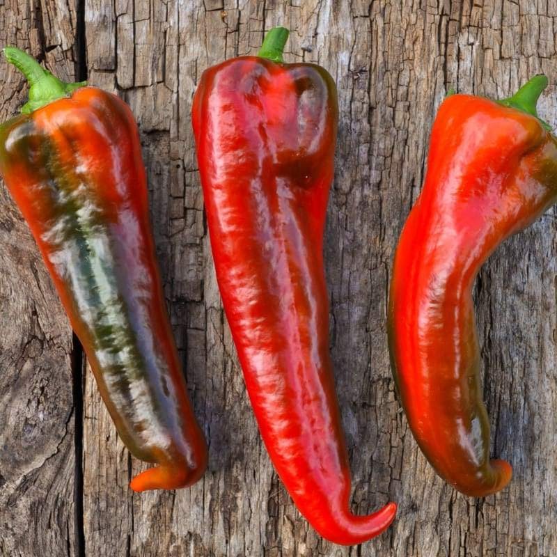 Carmen Pepper (Organic F1 Hybrid 60-80 Days ) - Pinetree Garden Seeds product image