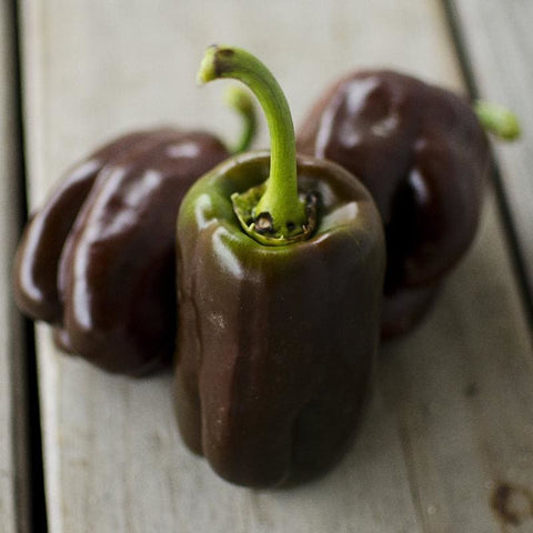 Big Red Pepper (75 Days) – Pinetree Garden Seeds