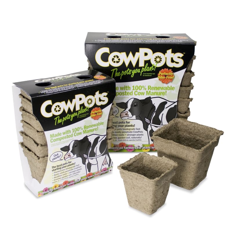 Cow Pots 3 Square Pkg Of 12