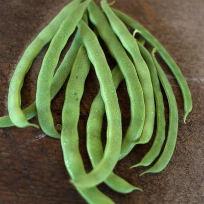 Kentucky Wonder Pole Bean 66 Day Heirloom Phaseolus Vulgaris