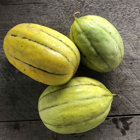 https://cdn.shopify.com/s/files/1/0972/6282/products/navajo-yellow-melon-heirloom-85-days-vegetables-pinetree-garden-seeds-853_large.jpg?v=1603377173