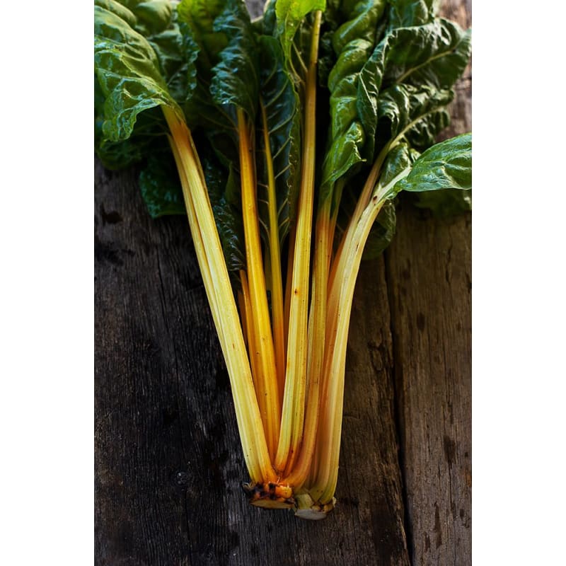 Orange Fantasia Swiss Chard 59 Days