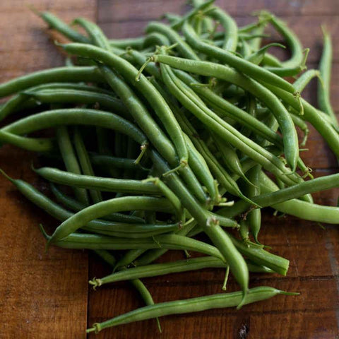 https://cdn.shopify.com/s/files/1/0972/6282/products/provider-bush-bean-50-days-vegetables-pinetree-garden-seeds-102_large.jpg?v=1603375638