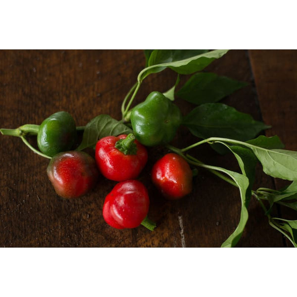 Red Hot Cherry Pepper 77 Days Vegetables Pinetree Garden Seeds 172 600x ?v=1542806045