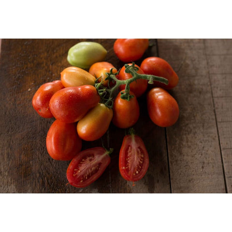 Brandywine Tomato (Heirloom 80 Days) – Pinetree Garden Seeds