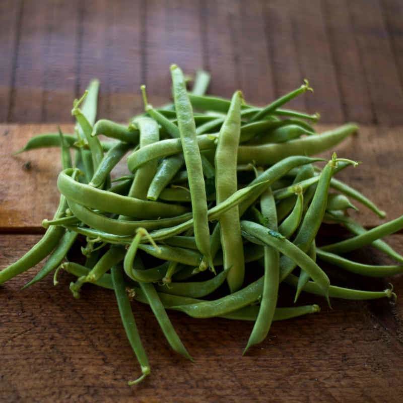 red swan bush bean