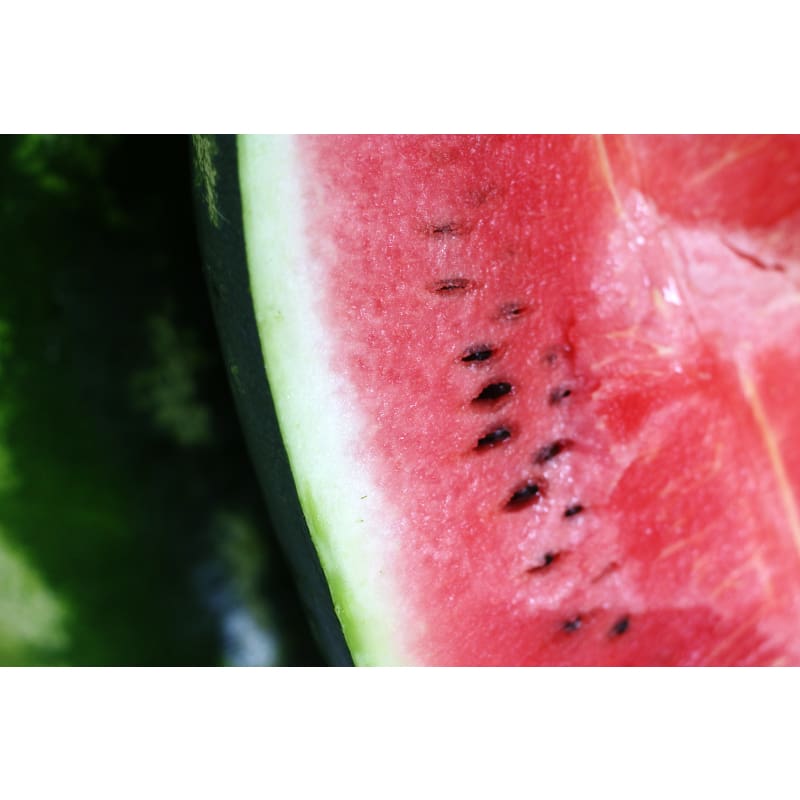 Sangria Watermelon F1 Hybrid 87 Days