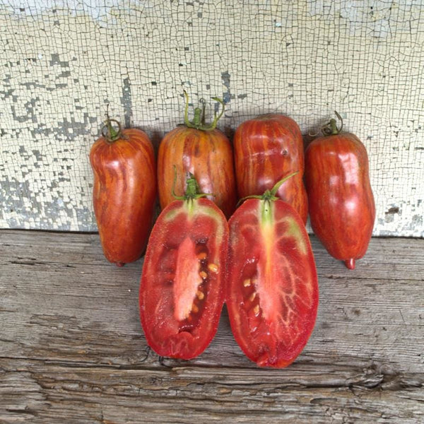 Speckled Roman Tomato (81 Days)