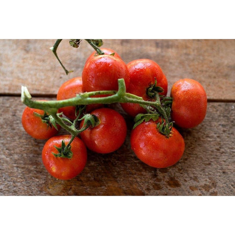 Brandywine Tomato (Heirloom 80 Days) – Pinetree Garden Seeds