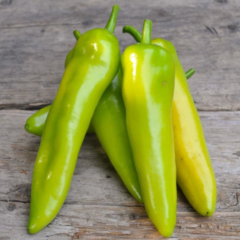 Big Red Pepper (75 Days) – Pinetree Garden Seeds