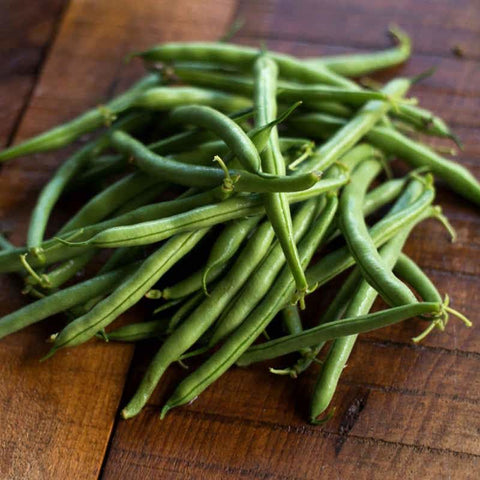 https://cdn.shopify.com/s/files/1/0972/6282/products/tendergreen-improved-bush-bean-heirloom-53-days-vegetables-pinetree-garden-seeds-384_large.jpg?v=1603376172