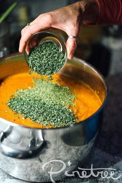 hand pouring dried oregano into pot with sauce