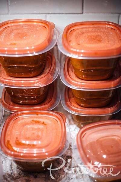 sauce packed into plastic freezer containers