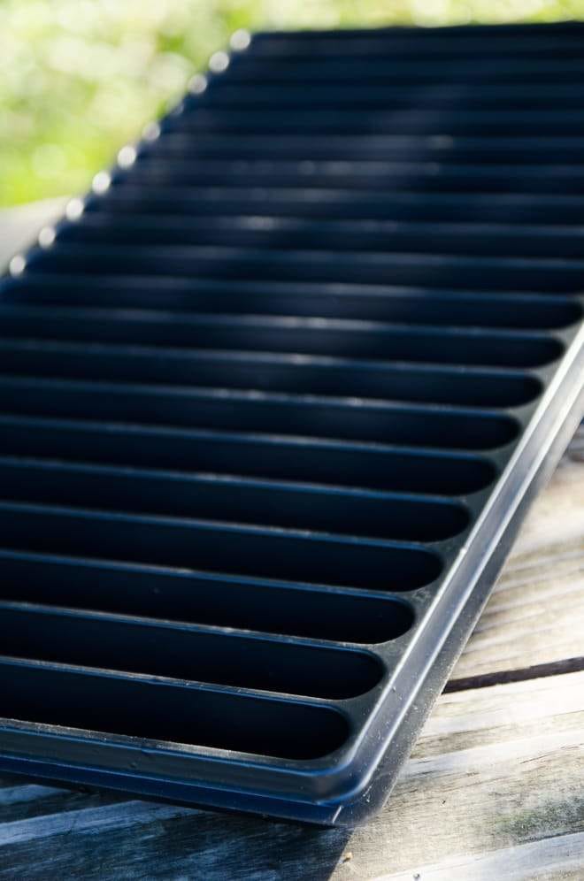 Black planting tray for starting seeds indoors.