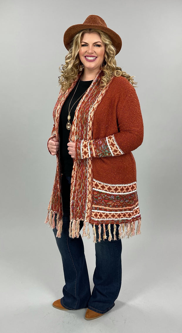 22 OR 35 OT-N {Whole Package} Rust/Tribal Print Cardigan PLUS SIZE 1X/2X  2X/3X