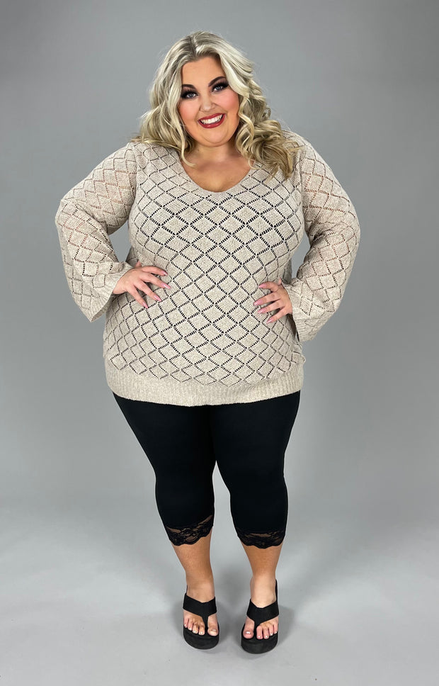 30 SLS-A {Shine Through Me} Taupe V-Neck Sweater PLUS SIZE 1X/2X  2X/3X