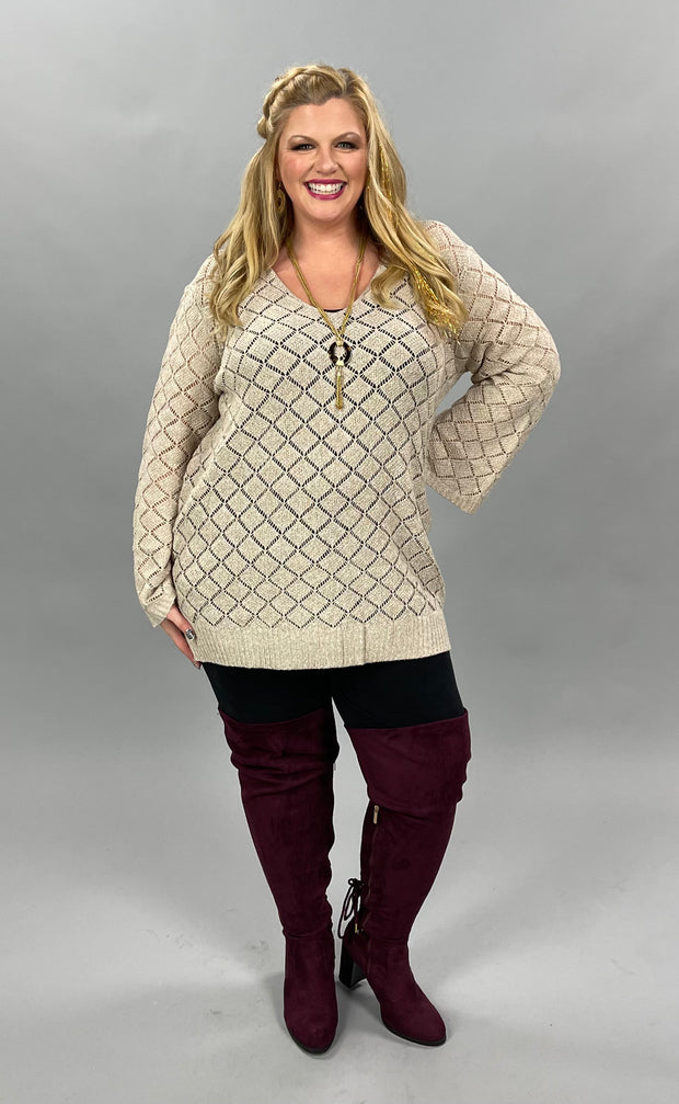 30 SLS-A {Shine Through Me} Taupe V-Neck Sweater PLUS SIZE 1X/2X  2X/3X