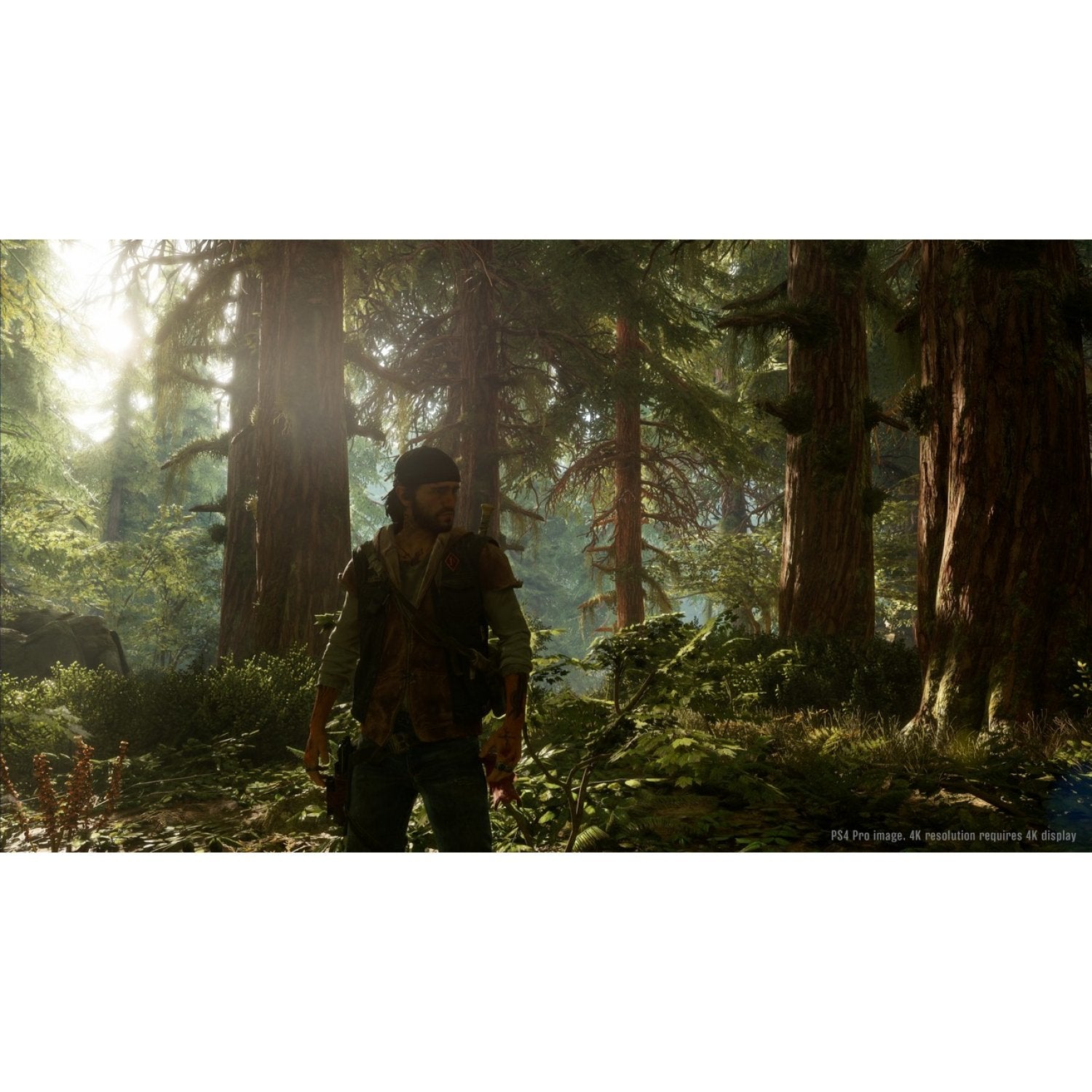 Жизнь после отзывы. Days gone ps3. Жизнь после ps4.