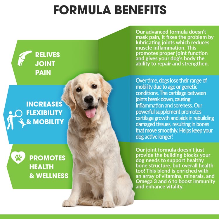 best bone and joint supplement for dogs