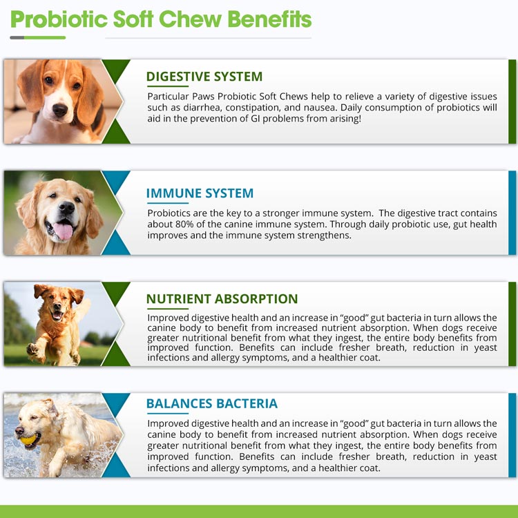pet probiotics for dogs