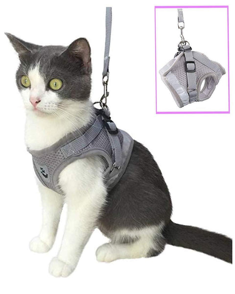 No Pull Cat Harness and Lead Set for Walking 0