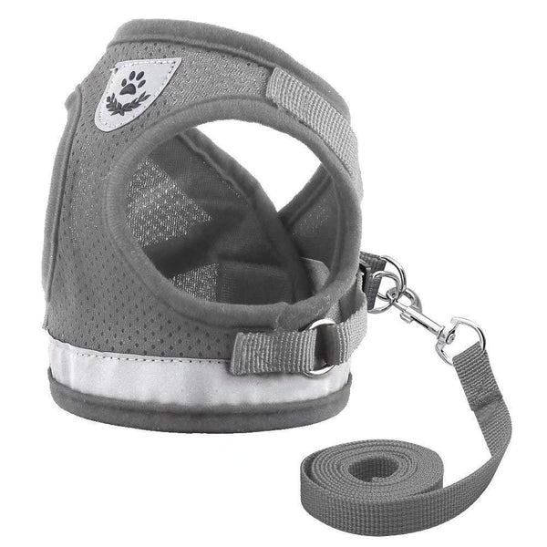 No Pull Cat Harness and Lead Set for Walking 1