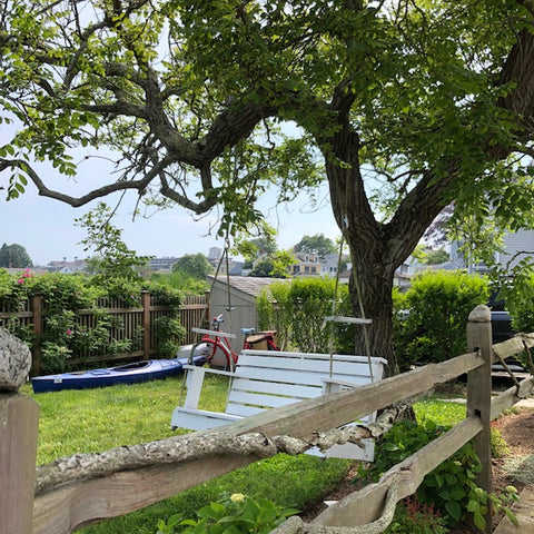 really cool tree swing