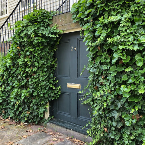 a hobbit house door