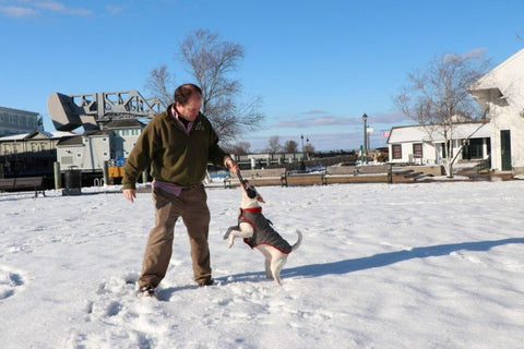 Betsy Mongrel playing with a monkey fist dog toy in front of the drawbridge