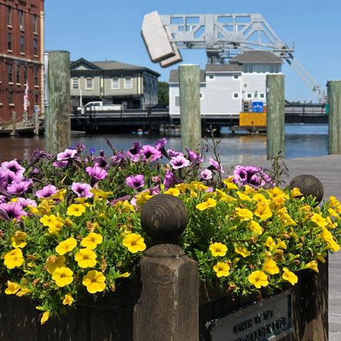 flowers in the park overlooking the drawbridge