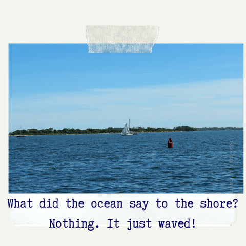 what did the ocean say to the shore? nothing, it just waved