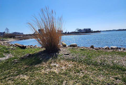 serene view of an ocean pond in the sunshine