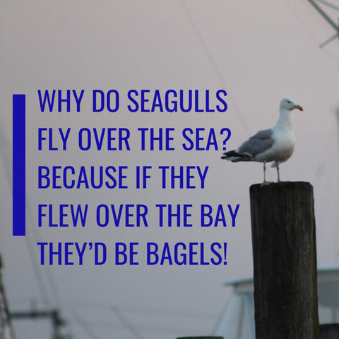 why do seagulls fly over the sea? because if they flew over the bay they would be bagels