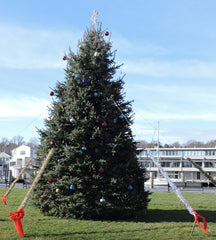 The view from our shop, A Christmas tree on the river